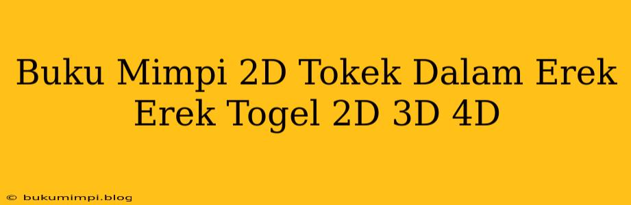 Buku Mimpi 2D Tokek Dalam Erek Erek Togel 2D 3D 4D